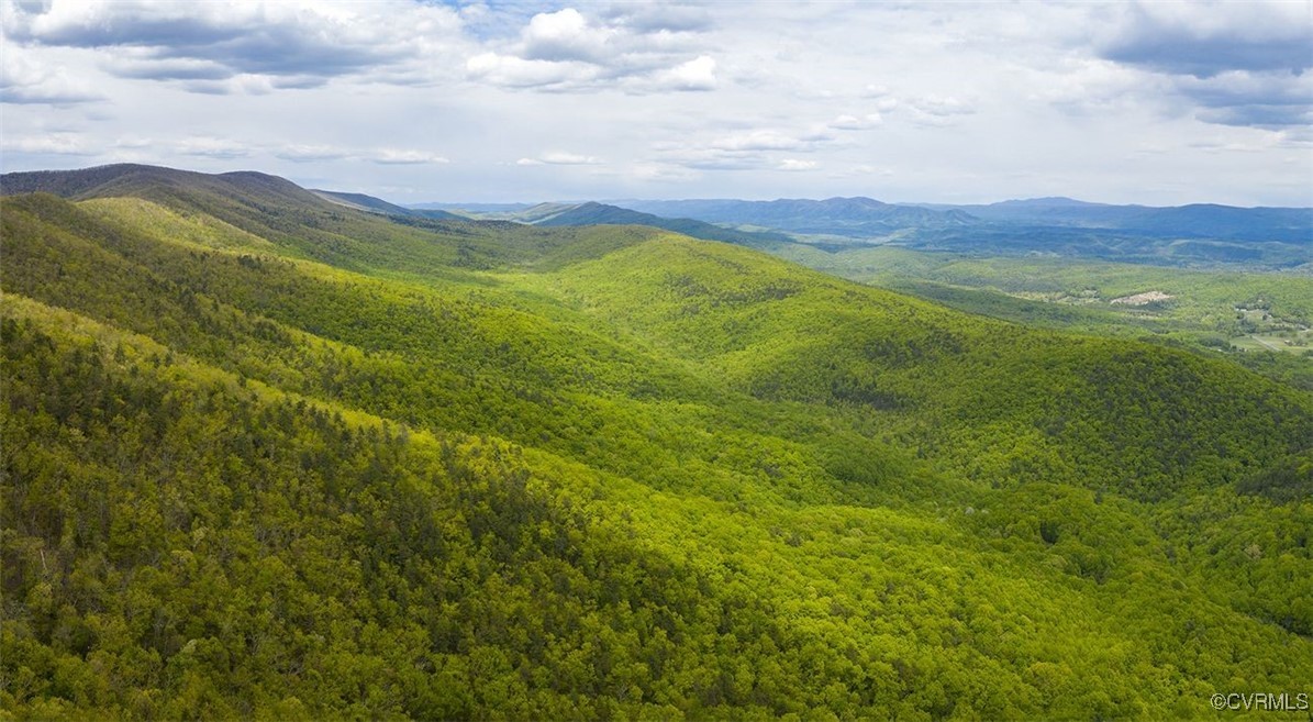 Covington, Virginia 24426, United States, ,Land,Active,179224