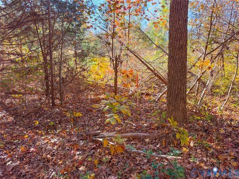 Tiny photo for 400 Lovely Zion Road, Rawlings, VA 23876 (MLS # 2604594)