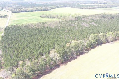 Tiny photo for TBD Martin Luther King Highway, Waverly, VA 23890 (MLS # 2608160)