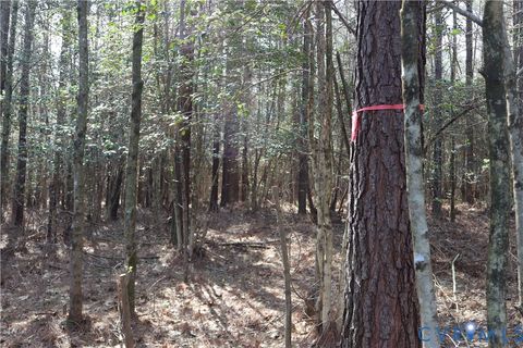 Tiny photo for TBD Martin Luther King Highway, Waverly, VA 23890 (MLS # 2608160)