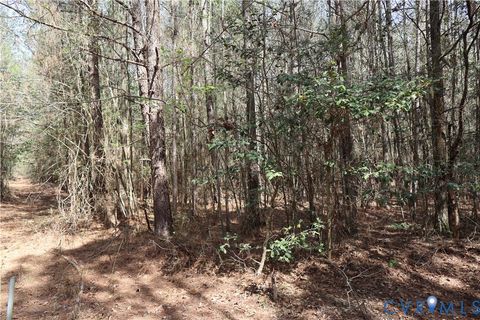 Tiny photo for TBD Martin Luther King Highway, Waverly, VA 23890 (MLS # 2608160)
