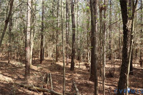 Tiny photo for TBD Martin Luther King Highway, Waverly, VA 23890 (MLS # 2608160)