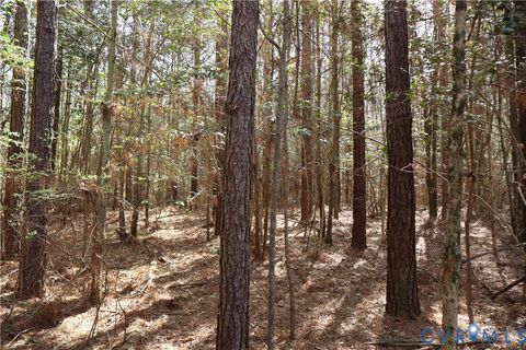 Tiny photo for TBD Martin Luther King Highway, Waverly, VA 23890 (MLS # 2608160)