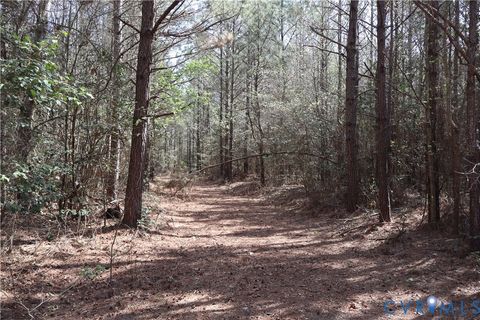 Tiny photo for TBD Martin Luther King Highway, Waverly, VA 23890 (MLS # 2608160)