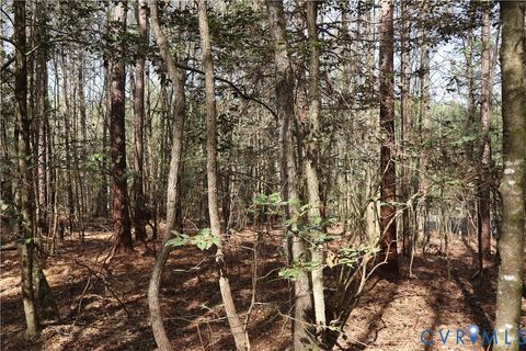 Tiny photo for TBD Martin Luther King Highway, Waverly, VA 23890 (MLS # 2608160)