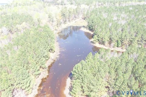 Tiny photo for TBD Martin Luther King Highway, Waverly, VA 23890 (MLS # 2608160)