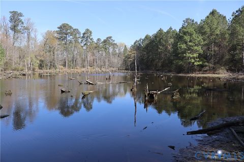 Tiny photo for TBD Martin Luther King Highway, Waverly, VA 23890 (MLS # 2608160)