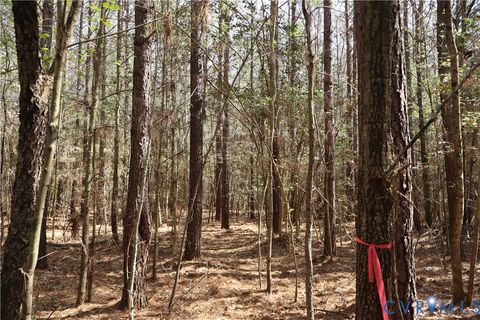 Tiny photo for TBD Martin Luther King Highway, Waverly, VA 23890 (MLS # 2608160)