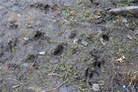 Tiny photo for TBD Martin Luther King Highway, Waverly, VA 23890 (MLS # 2608160)