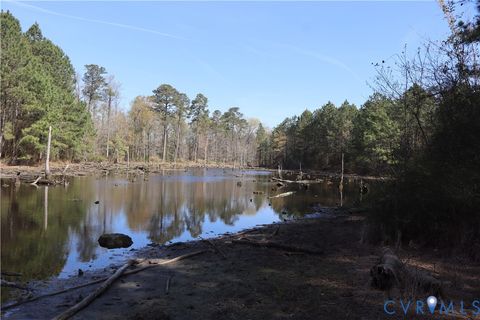 Tiny photo for TBD Martin Luther King Highway, Waverly, VA 23890 (MLS # 2608160)