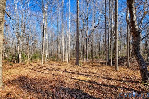 Tiny photo for 589 Three Chopt Road, Troy, VA 23084 (MLS # 2532456)