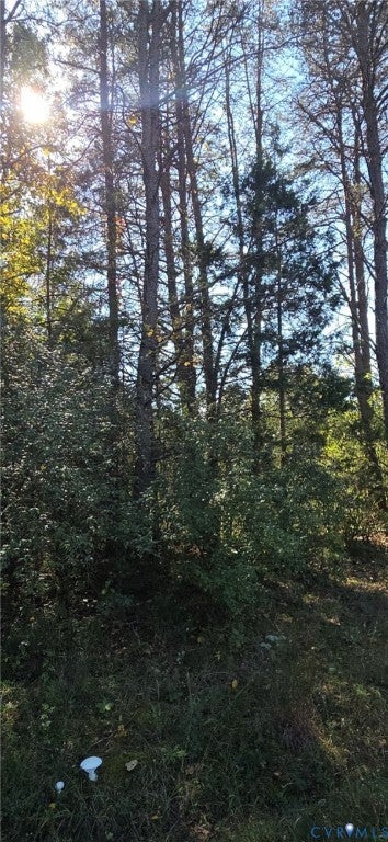 0 Cedar Plains Road - Photo 2