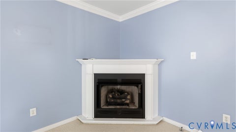 Tiny photo for 15619 Winding Ash Drive, Middletown, VA 23832 (MLS # 2627041)
