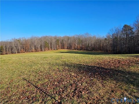 Tiny photo for 3814 S Constitution Route, Dillwyn, VA 23936 (MLS # 2533008)