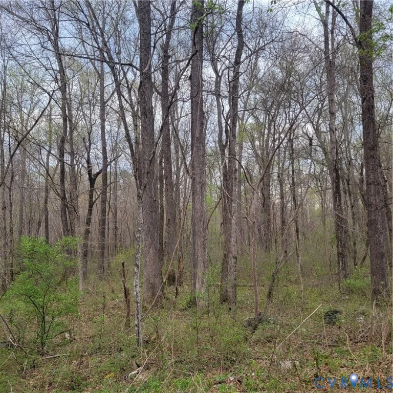 11121 Coalboro Road