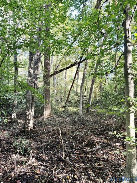 Tiny photo for 0 Broad Street Road, Gum Spring, VA 23065 (MLS # 2516059)