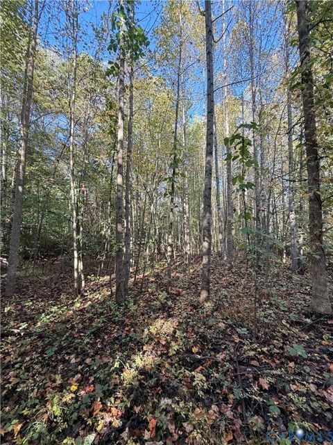 Tiny photo for 0 Broad Street Road, Gum Spring, VA 23065 (MLS # 2516059)