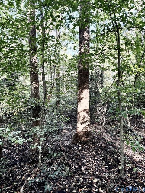 Tiny photo for 0 Broad Street Road, Gum Spring, VA 23065 (MLS # 2516059)