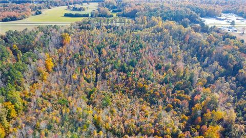 Tiny photo for 13.2 Ac Patrick Henry Highway, Amelia, VA 23002 (MLS # 2428325)