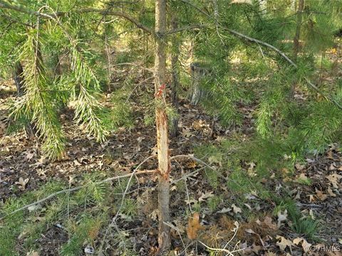 Tiny photo for 13.2 Ac Patrick Henry Highway, Amelia, VA 23002 (MLS # 2428325)