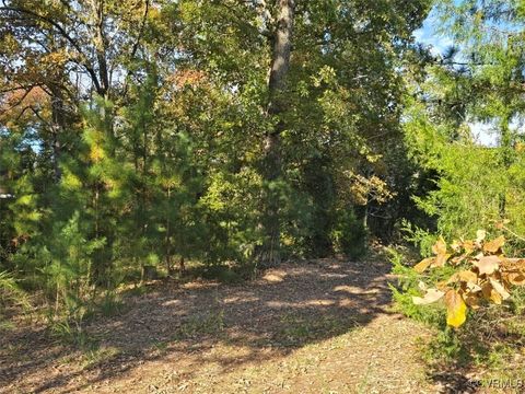 Tiny photo for 13.2 Ac Patrick Henry Highway, Amelia, VA 23002 (MLS # 2428325)