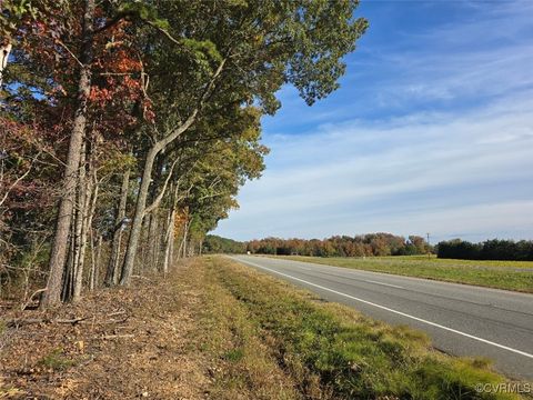 Tiny photo for 13.2 Ac Patrick Henry Highway, Amelia, VA 23002 (MLS # 2428325)