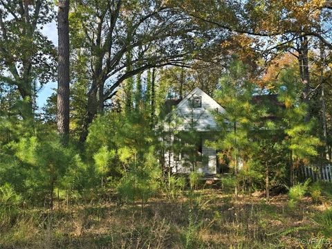 Tiny photo for 13.2 Ac Patrick Henry Highway, Amelia, VA 23002 (MLS # 2428325)