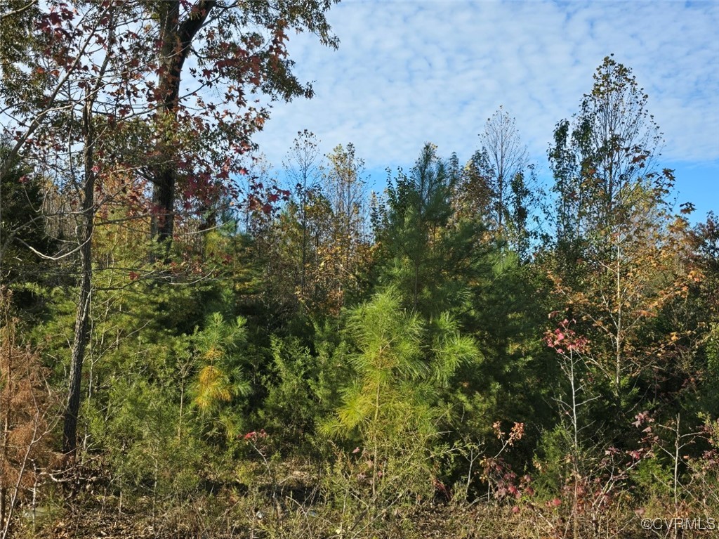 13.2 Ac Patrick Henry Highway