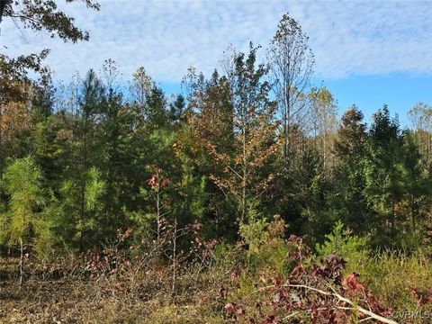 Tiny photo for 13.2 Ac Patrick Henry Highway, Amelia, VA 23002 (MLS # 2428325)