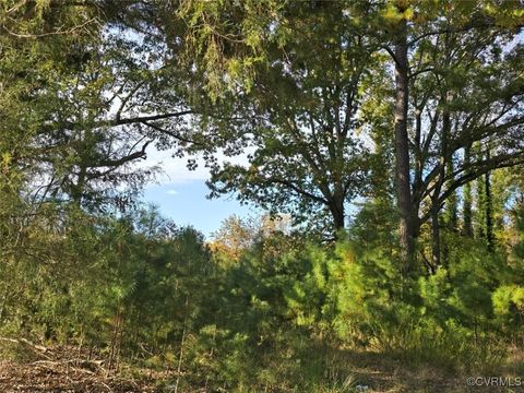 Tiny photo for 13.2 Ac Patrick Henry Highway, Amelia, VA 23002 (MLS # 2428325)