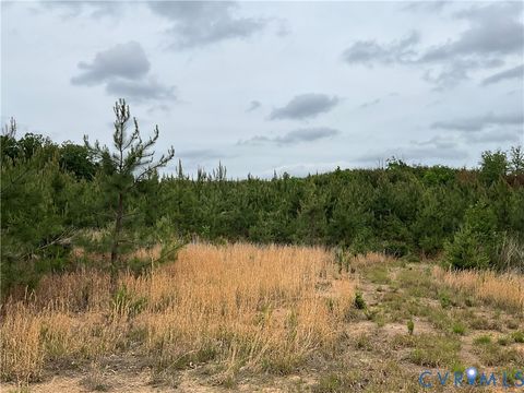 Tiny photo for XX N James Madison Highway, Dillwyn, VA 23936 (MLS # 2610536)