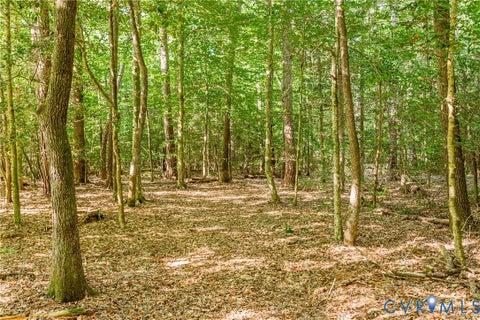 Tiny photo for 0 Barnetts Road, Charles City, VA 23030 (MLS # 2624242)