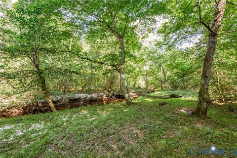 Tiny photo for 0 Barnetts Road, Charles City, VA 23030 (MLS # 2624242)