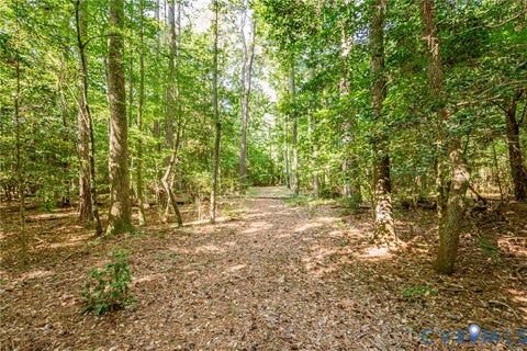 Tiny photo for 0 Barnetts Road, Charles City, VA 23030 (MLS # 2624242)
