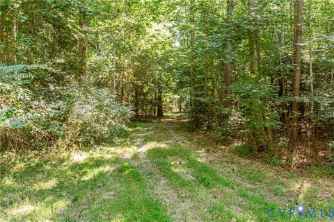 Tiny photo for 0 Barnetts Road, Charles City, VA 23030 (MLS # 2624242)