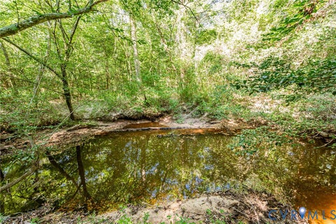 Tiny photo for 0 Barnetts Road, Charles City, VA 23030 (MLS # 2624242)