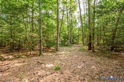 Tiny photo for 0 Barnetts Road, Charles City, VA 23030 (MLS # 2624242)