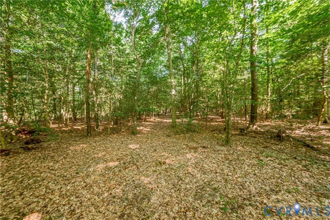 Tiny photo for 0 Barnetts Road, Charles City, VA 23030 (MLS # 2624242)
