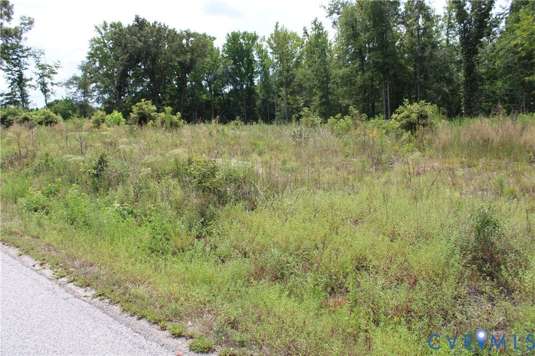 TBD3 Black Branch Road