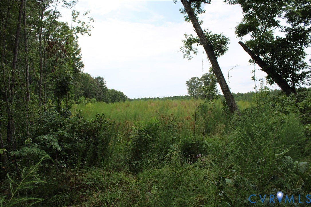 TBD3 Black Branch Road