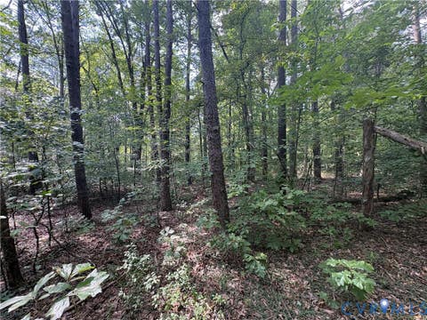 Tiny photo for 0 Bradshaw Road, Gum Spring, VA 23065 (MLS # 2622816)
