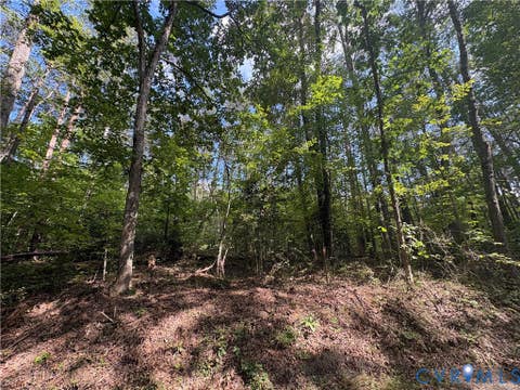 Tiny photo for 0 Bradshaw Road, Gum Spring, VA 23065 (MLS # 2622816)