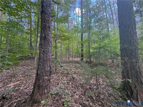 Tiny photo for 0 Bradshaw Road, Gum Spring, VA 23065 (MLS # 2622816)