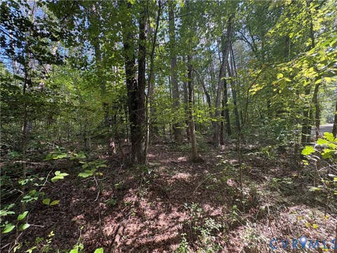 Tiny photo for 0 Bradshaw Road, Gum Spring, VA 23065 (MLS # 2622816)