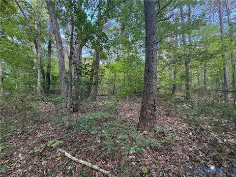 Tiny photo for 0 Bradshaw Road, Gum Spring, VA 23065 (MLS # 2622816)
