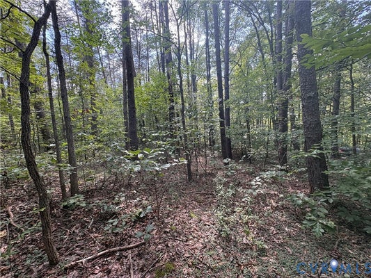 BRADSHAW RD, GUM SPRING, VA 23065 - Image 9ae701c0b5345da4a095d958d3c4f75c/788422281