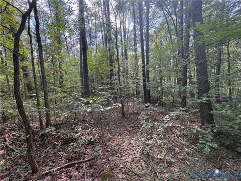 Photo of 0 Bradshaw Road, Gum Spring, VA 23065 (MLS # 2622816)