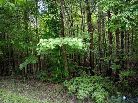 Tiny photo for 0 Gully Tavern Road, Rice, VA 23966 (MLS # 2529641)