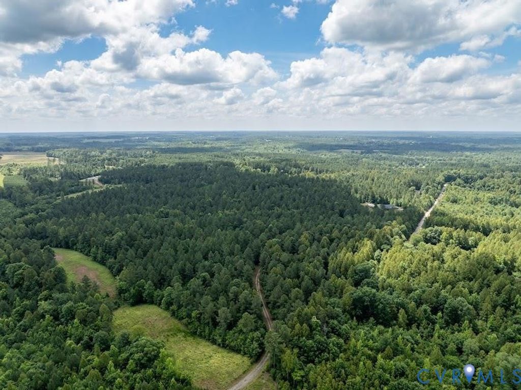 Photo for 0 Gully Tavern Road, Rice, VA 23966 (MLS # 2529641)
