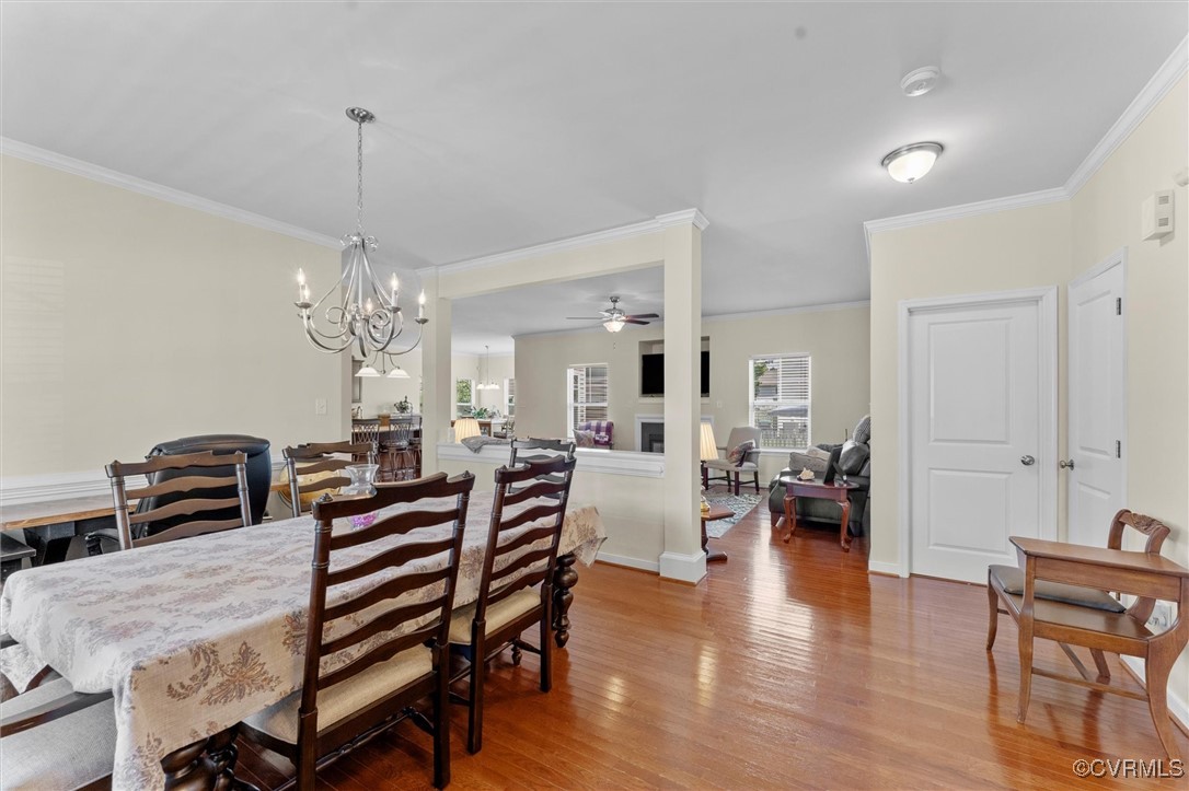 9074 Salient Lane